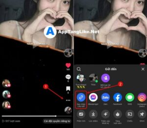 Sao chép link video Tiktok