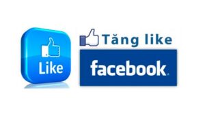 dich vu tang like facebook